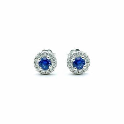 Blue Stone studd Earrings
